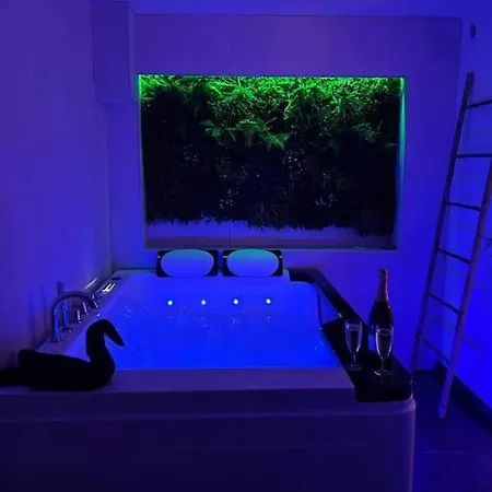 Magnifique Avec Jacuzzi Et Sauna Privatifs * Avolsheim