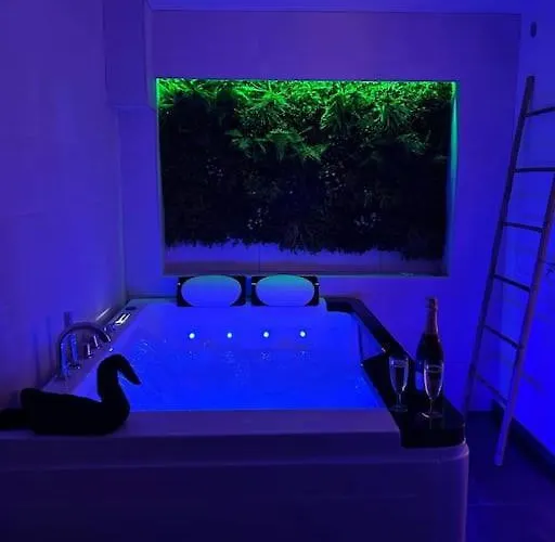 Magnifique Avec Jacuzzi Et Sauna Privatifs * Avolsheim